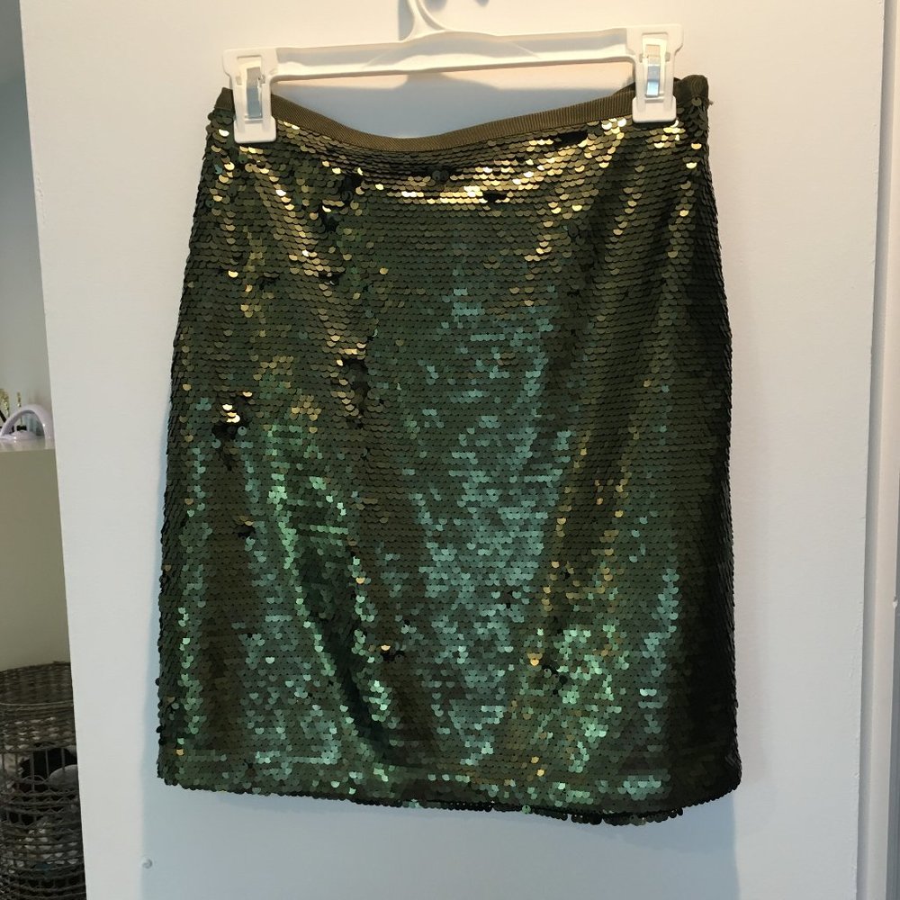 The Loft Sequin Skirt